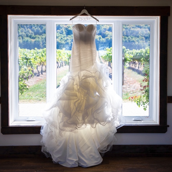 Pronovias Mildred Wedding Dress - Picture 1 of 5